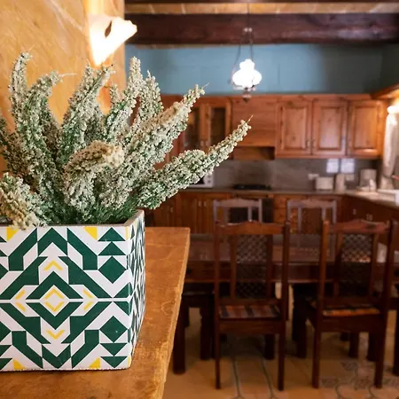 Tatil Evi Prickly Pear Holiday No. 3 *